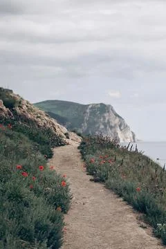 Hiking trail path on edge of mountain among grass and poppy flowers against.. Stock Photos