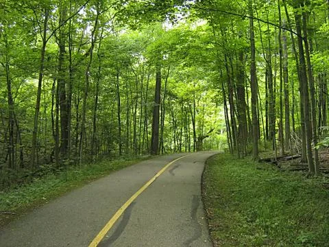 Hiking Trail Stock Photos
