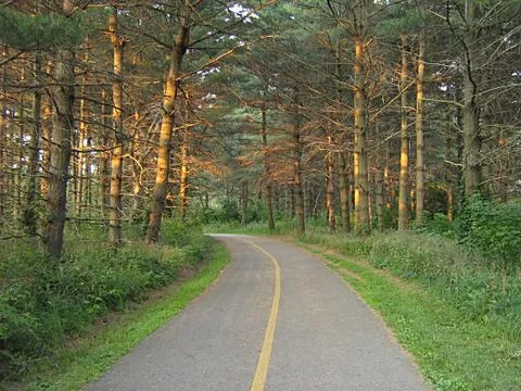 Hiking Trail Stock Photos
