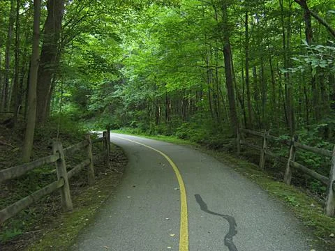 Hiking Trail Stock-Fotos