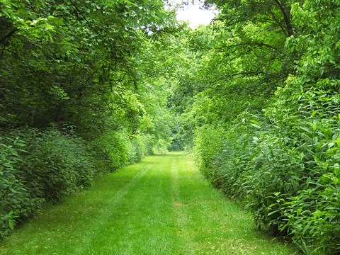Hiking Trail Stock Photos