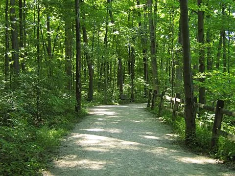 Hiking Trail Stock Photos