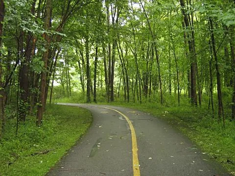 Hiking Trail Stock Photos