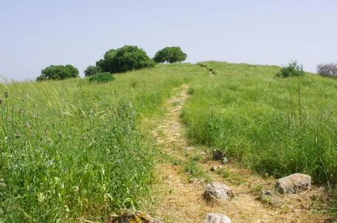 Hiking trail 스톡 사진
