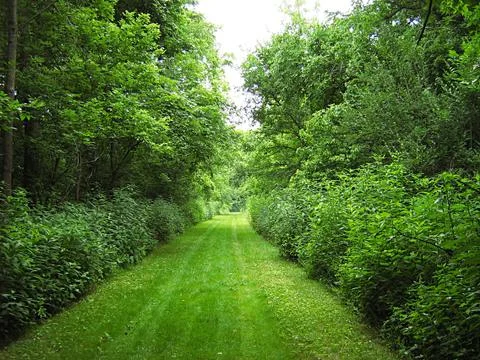 Hiking Trail Stock Photos