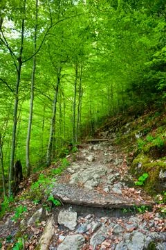 Hiking trail Stockfoto's