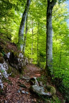 Hiking trail Stock Photos