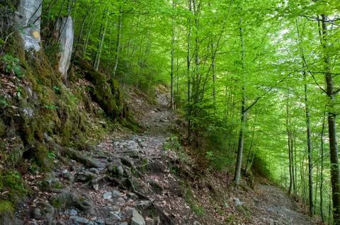 Hiking trail Foto stock