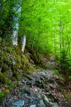 Hiking trail Foto stock