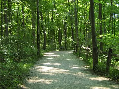 Hiking Trail Stock Photos