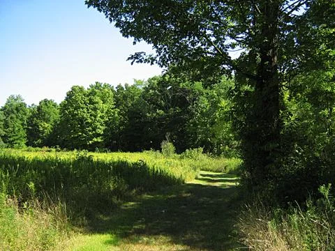 Hiking Trail Stock Photos