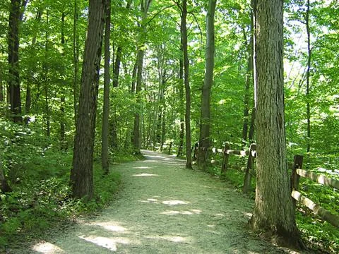 Hiking Trail Stock-Fotos