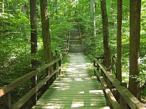Hiking Trail Stock Photos