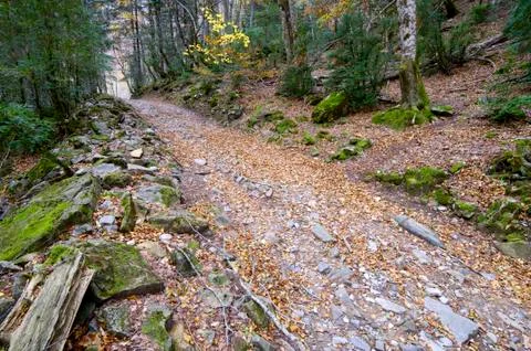 Hiking trail Stock Photos