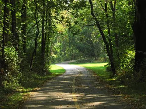 Hiking Trail Stock Photos