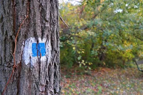 Hiking trail Stock Photos