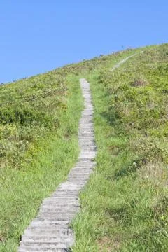 Hiking trail Foto stock