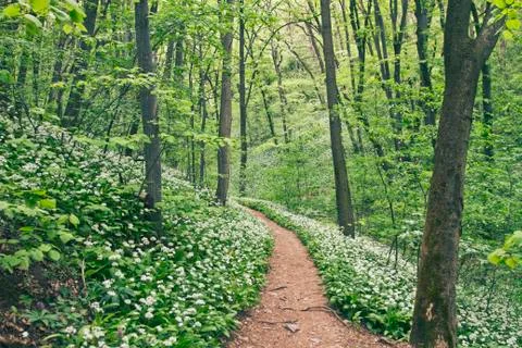 Hiking trail Stock Photos