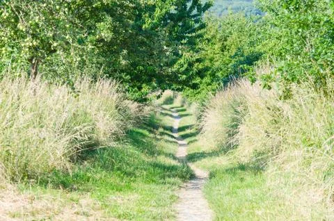 Hiking trail Stock Photos