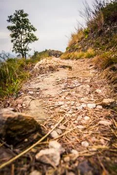 Hiking trail Stock Photos