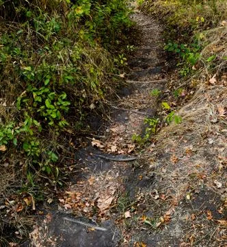 Hiking trail Stock Photos