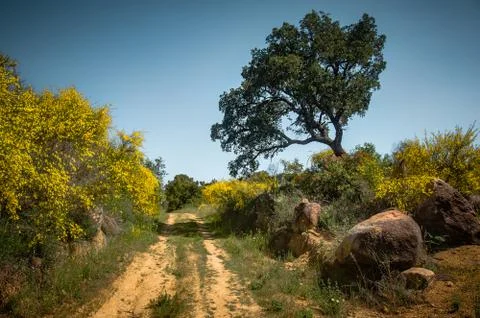 Hiking Trail Stock Photos