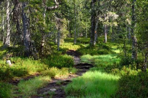 Hiking trail. Stock Photos