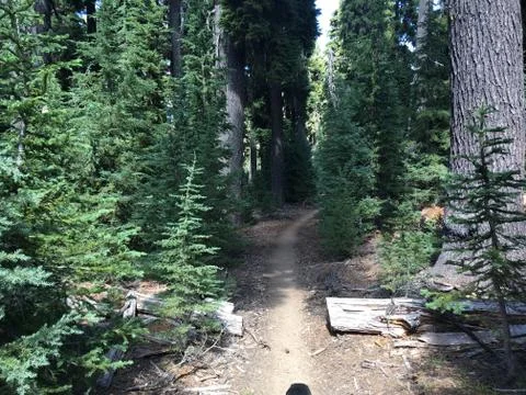 Hiking Trail Stock Photos