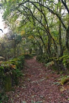 Hiking trail Stock Photos