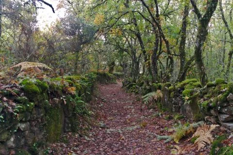 Hiking trail Stock Photos