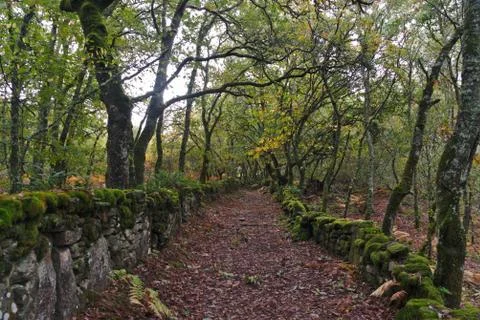 Hiking trail Stock Photos