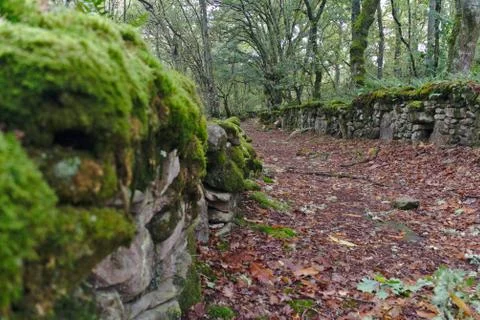 Hiking trail Stock Photos