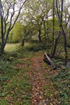 Hiking trail Stock Photos