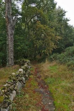 Hiking trail Stock Photos