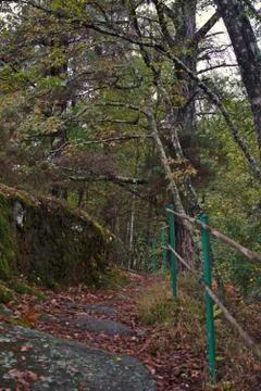 Hiking trail Stock Photos