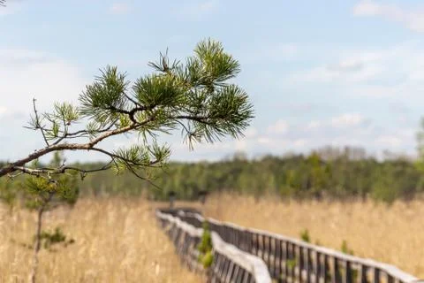 Hiking trail Stock Photos