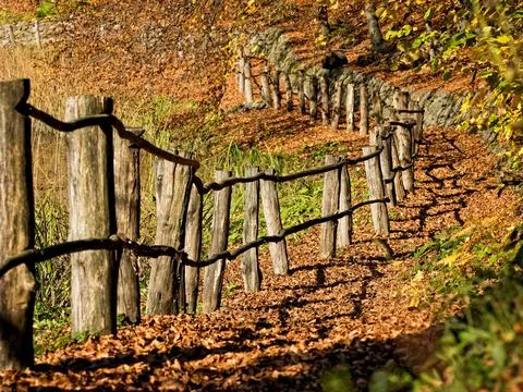 Hiking Trail Stock Photos