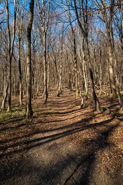 Hiking Trail Stock Photos