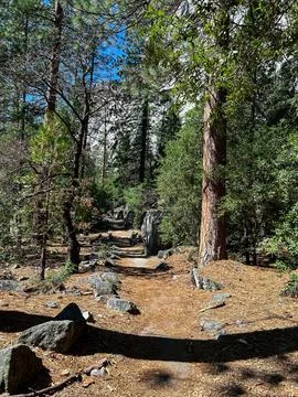 Hiking Trail Stock Photos