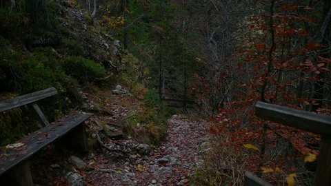 Hiking trail in pristine alpine gorge in Slovenia Stock Footage 167694313