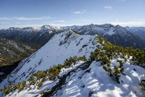 Hiking trail on the ridge between mountain pines in the Hebrst with snow hiking Stock Photos