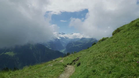Hiking trail at Schynige Platte Stock Footage 219714906
