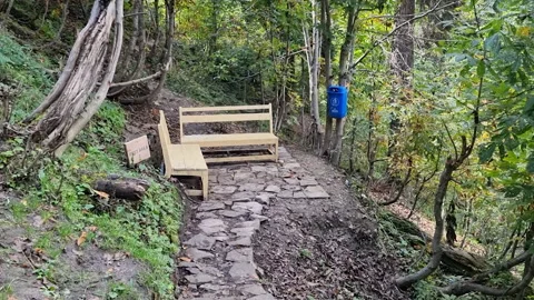 Hiking Trail Sitting Bench 動画素材 301408535