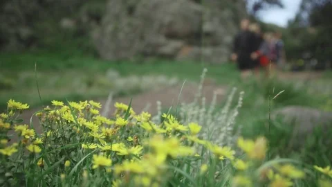 Hiking trail slow motion Stock Footage