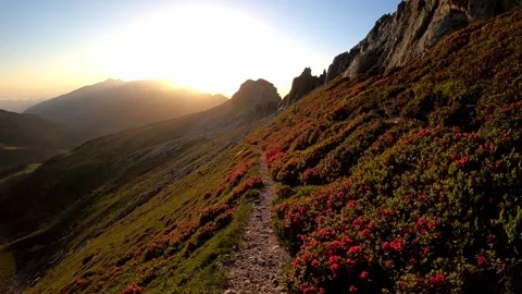Hiking trail in the sunrise Stock Footage 141361444