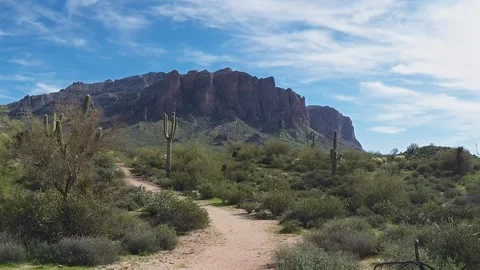 Hiking Trail To Superstition Mountain- Apache Junction AZ 4K Video stock 313160116