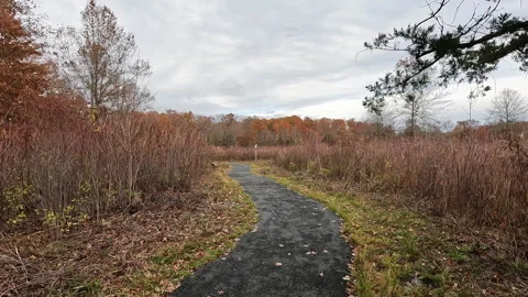 Hiking on the trail in the swamp in the fall Stock Footage 282833095