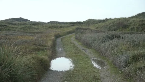 Hiking trail through the dunes, Thy National Park Stock Footage 118468048