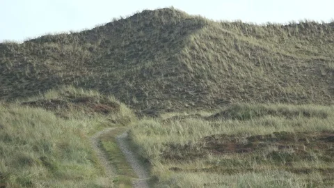 Hiking trail through the dunes, Thy National Park Stock Footage 118468317