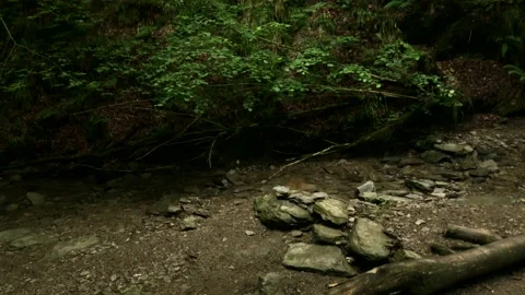 A hiking trail through the forest in Winterberg, Sauerland with the name: "Ca Stock Footage 157552658